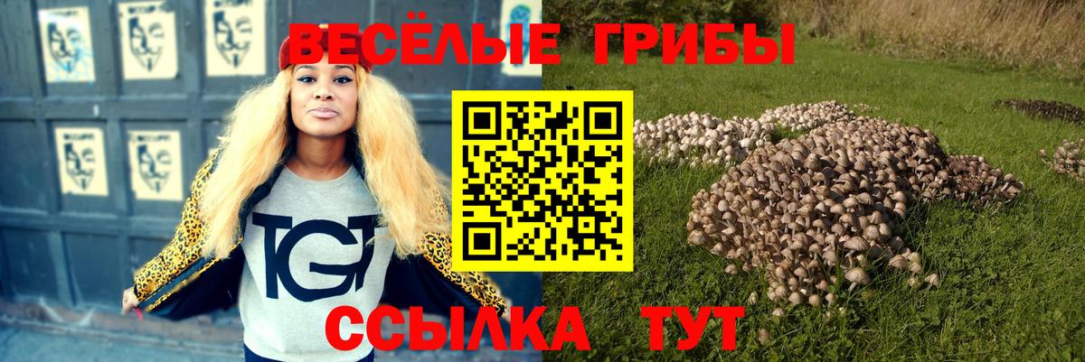 Галлюциногенные грибы Cubensis Арсеньев