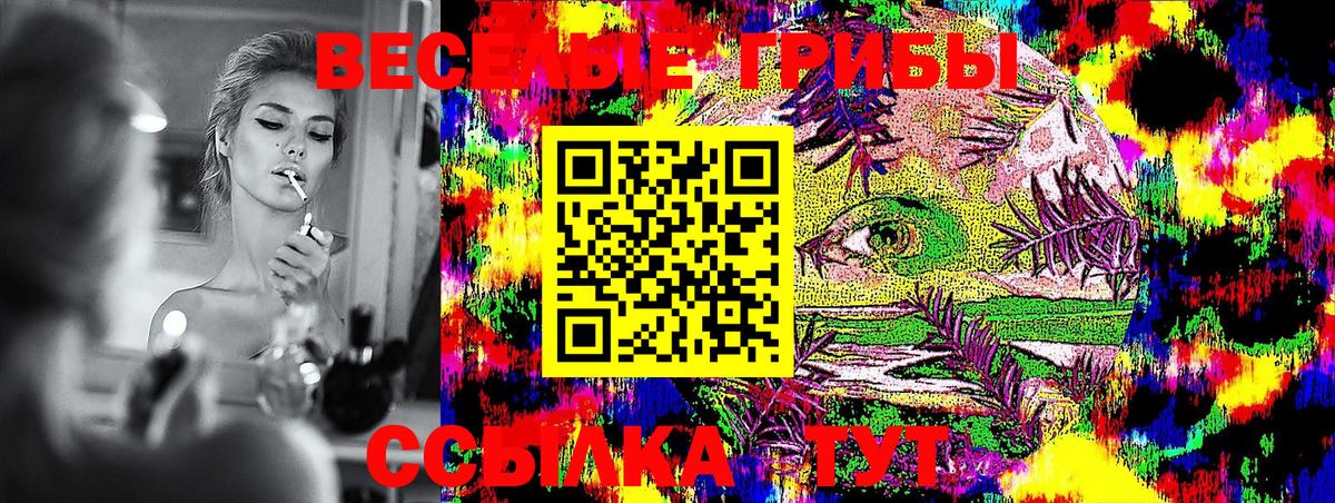 Арсеньев  Галлюциногенные грибы Psilocybine cubensis  Вход с VPN 